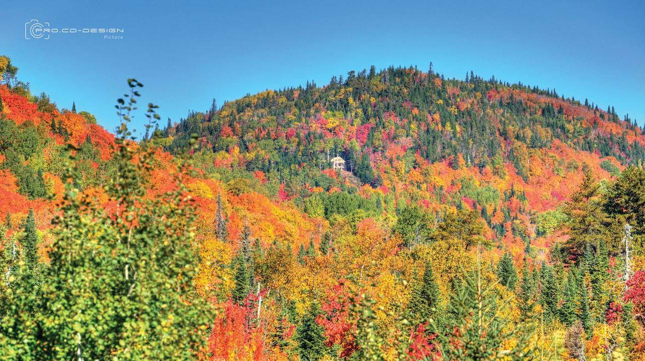 Villa Le Ti Moose La Malbaie Esterno foto